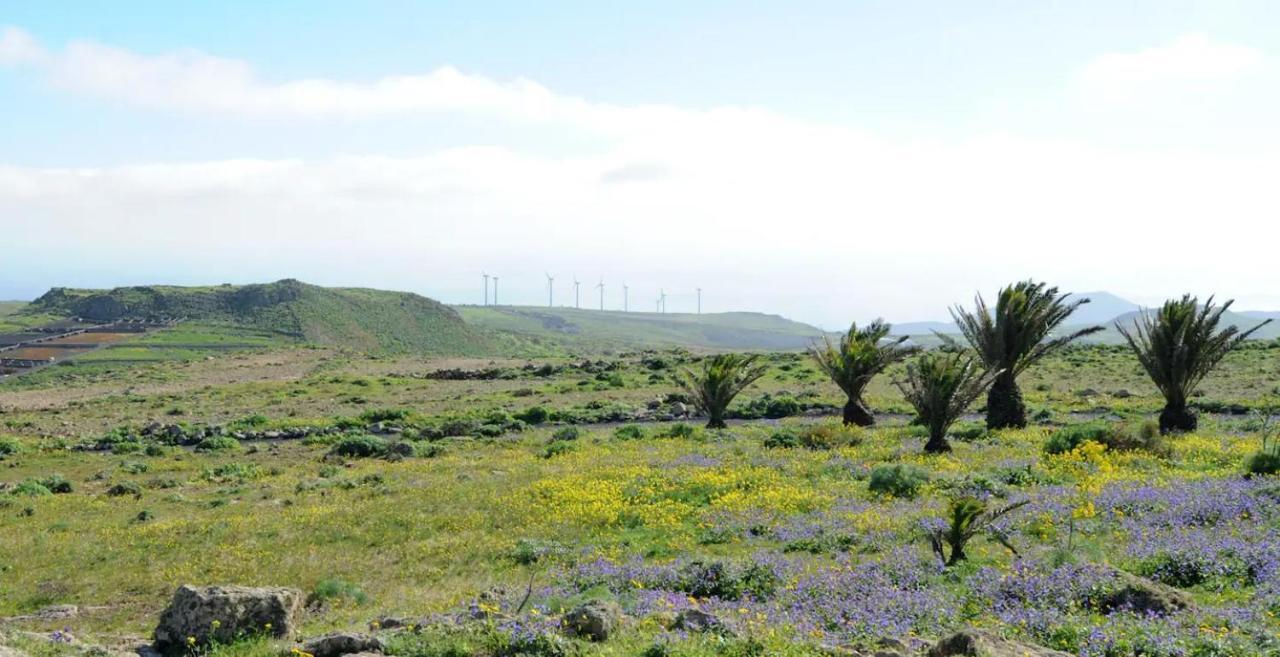 Las Nieves Suites Teguise  Buitenkant foto